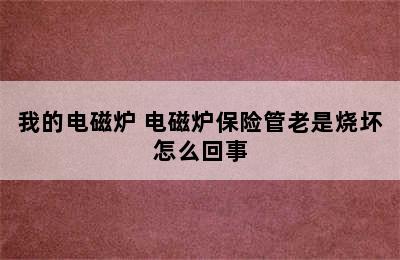 我的电磁炉 电磁炉保险管老是烧坏怎么回事